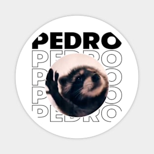 Pedro Raccoon Magnet